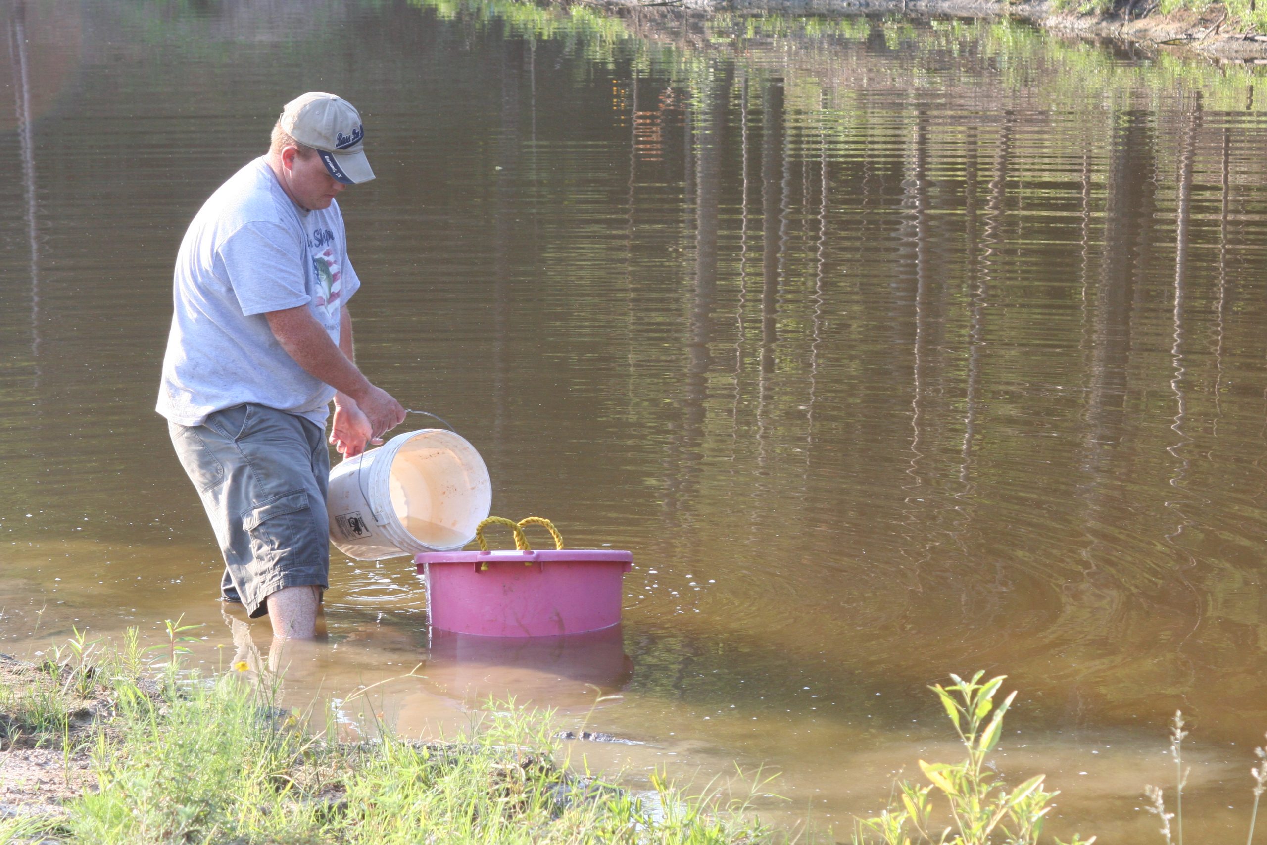 Muddy Water 