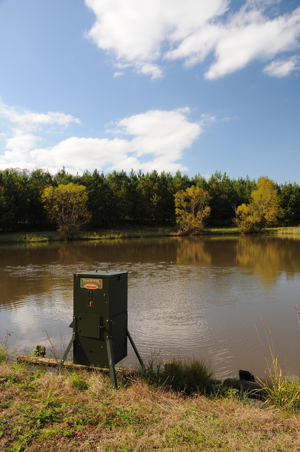 Automatic fish feeders are a great investment and can be a focal point for family fishing. Make sure you continue feeding during the winter.
