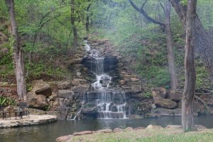 Pond Water Quality
