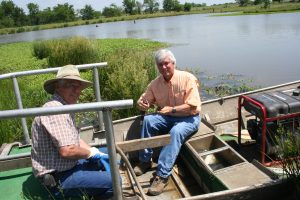 Beyond the boat, native aquatic plants hold soils in place.