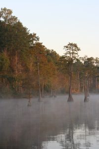Early morning fog awakens the lake.