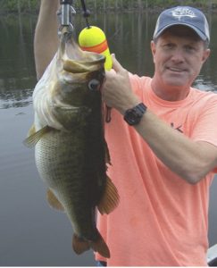Monitor Bass Genetics