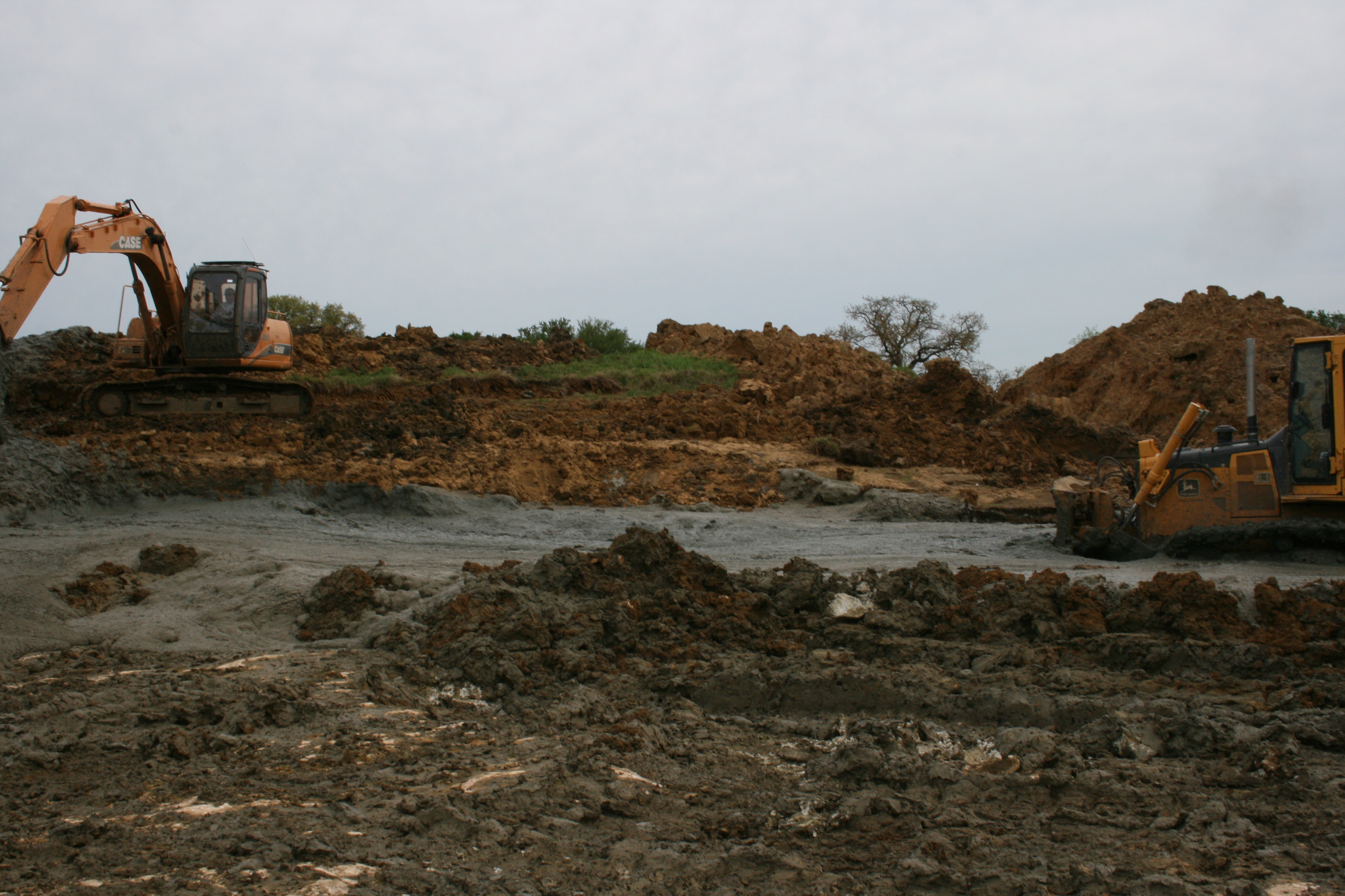 Life Expectancy of a Pond