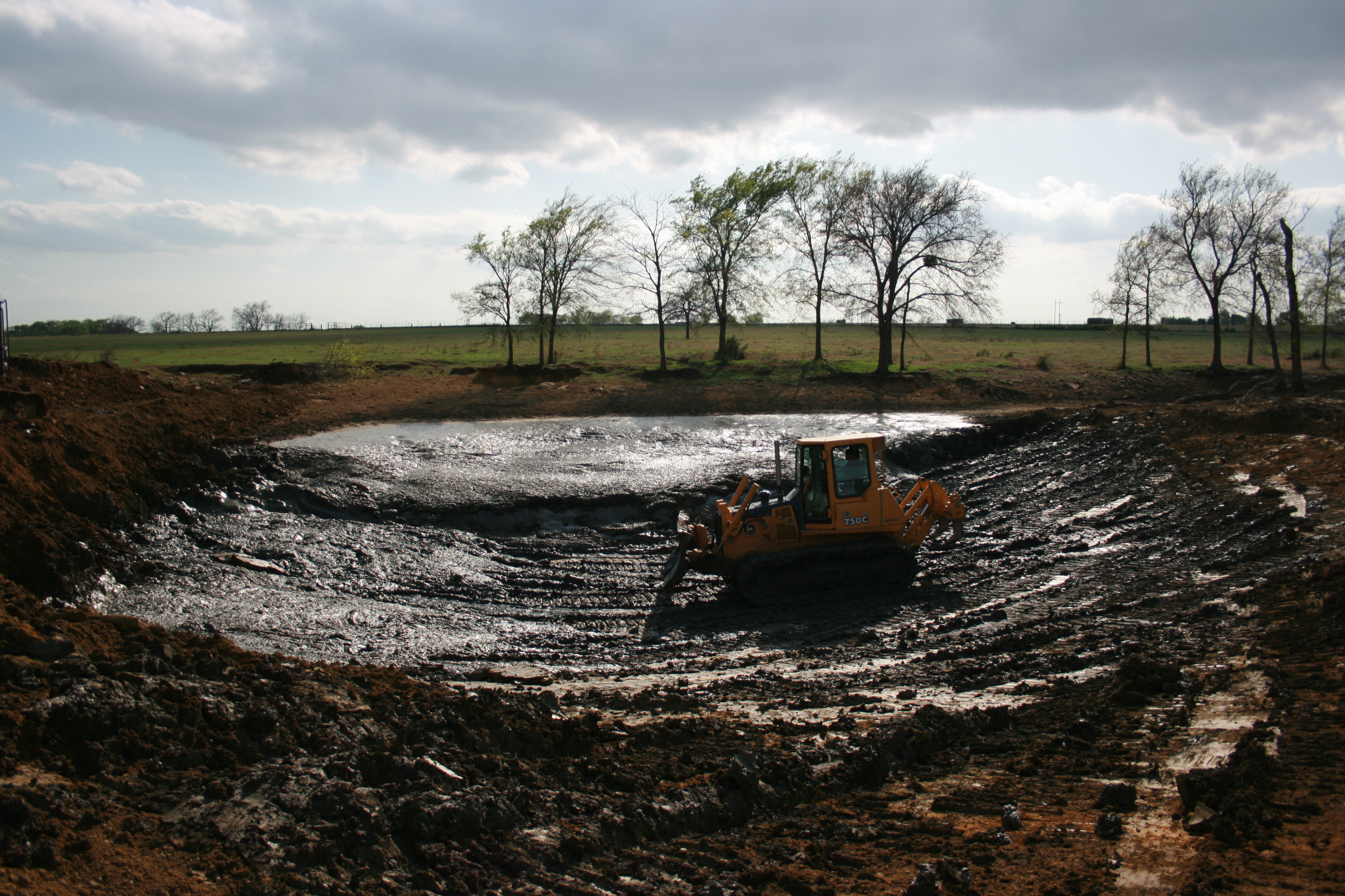 Life Expectancy of a Pond