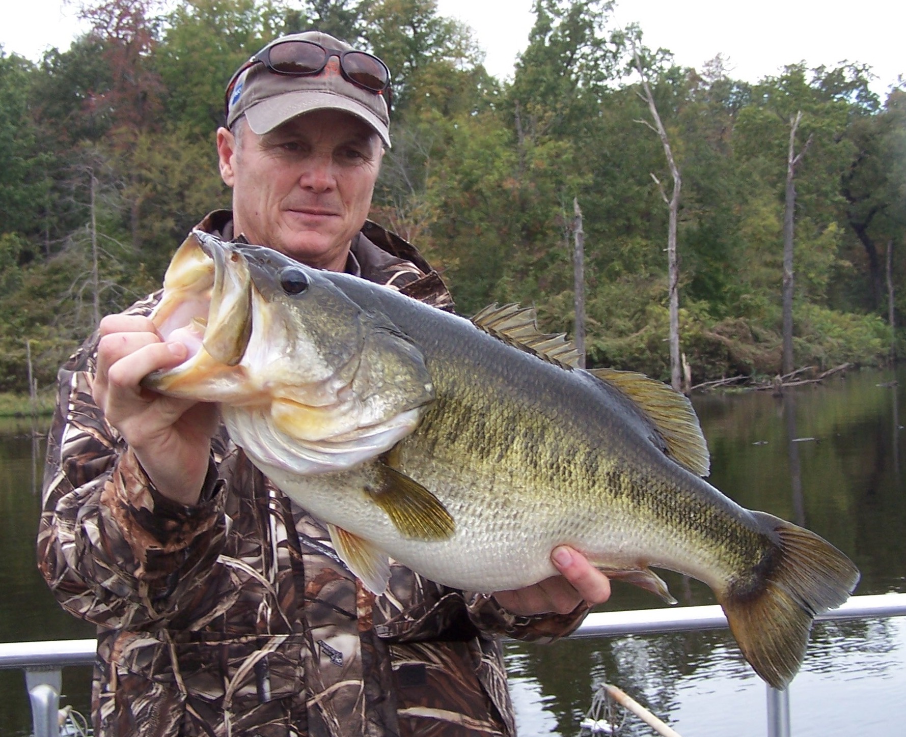 Stock Supplemental Forage. Trophy Bass.