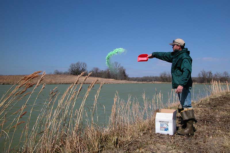 pond-fertilizing-american-sport-fish