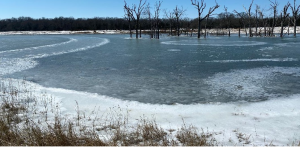 Partially frozen lake